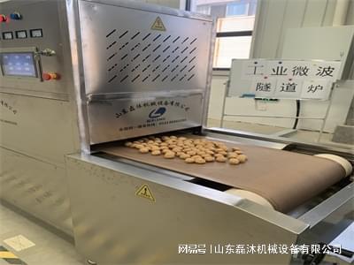 拉丝蛋白球微波烘干设备在食品加工领域的应用优势有哪些